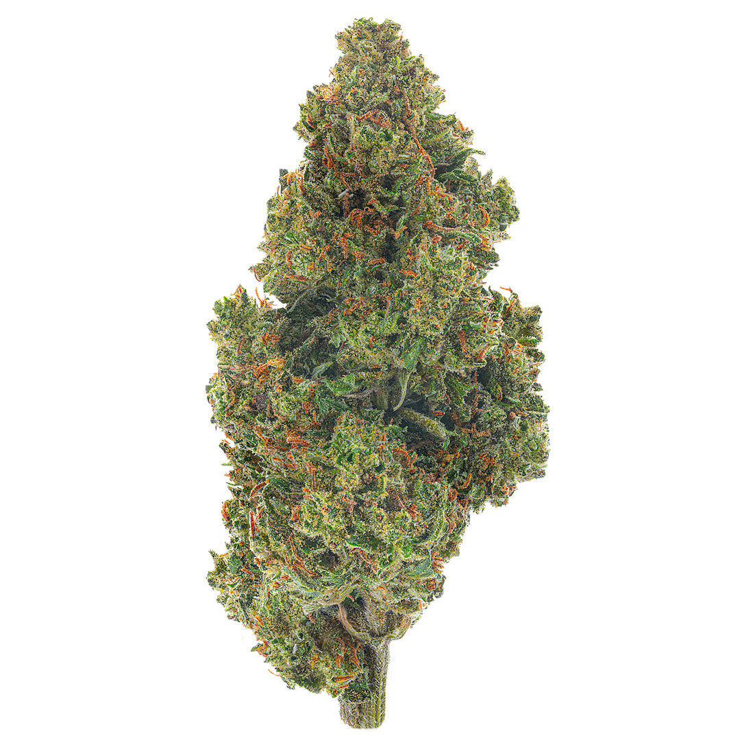 Jack Herer - 14 Grams - Sativa image 0