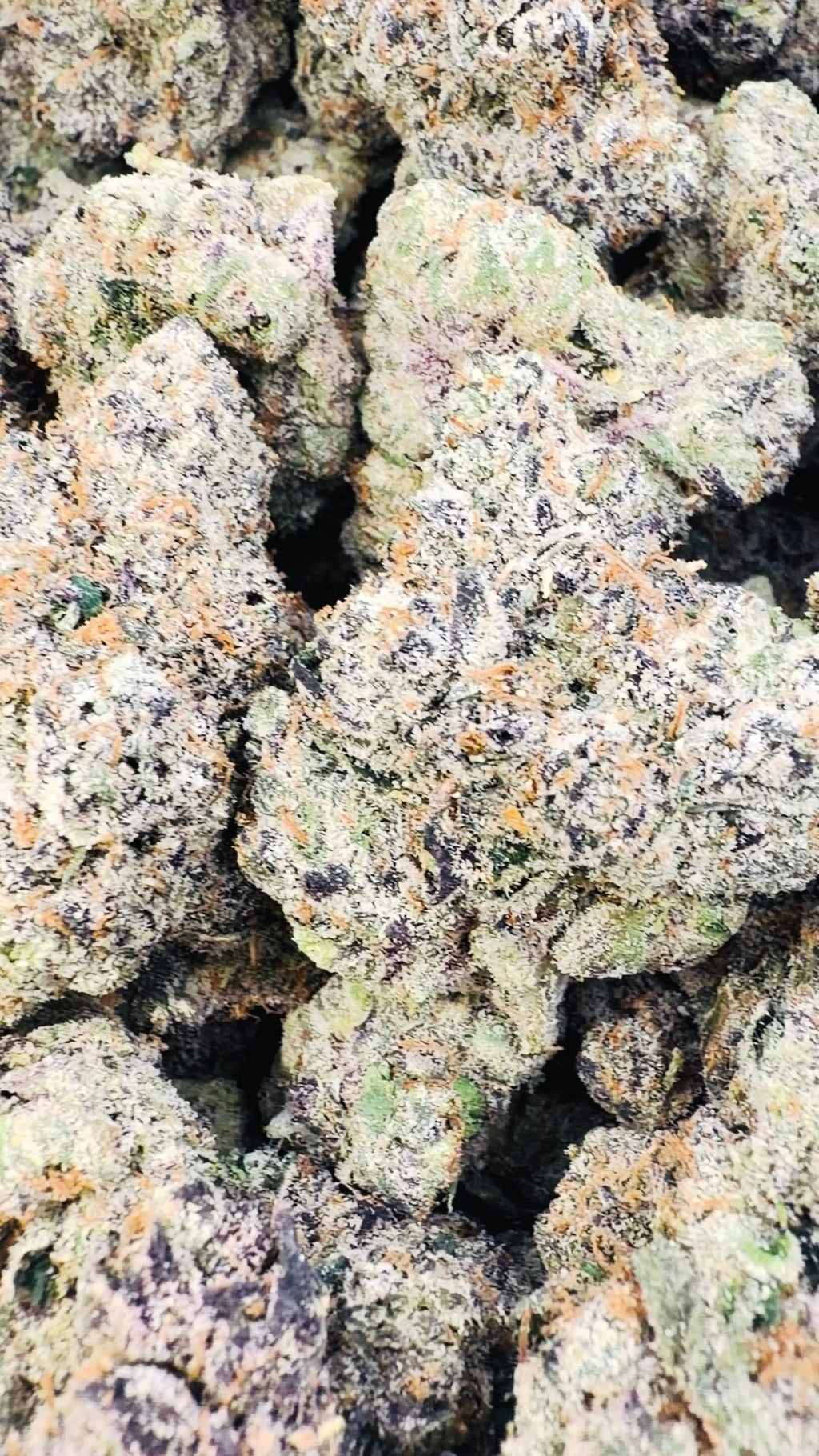 Boutique Exotics Lemon Dior - Bulk - Hybrid image 0
