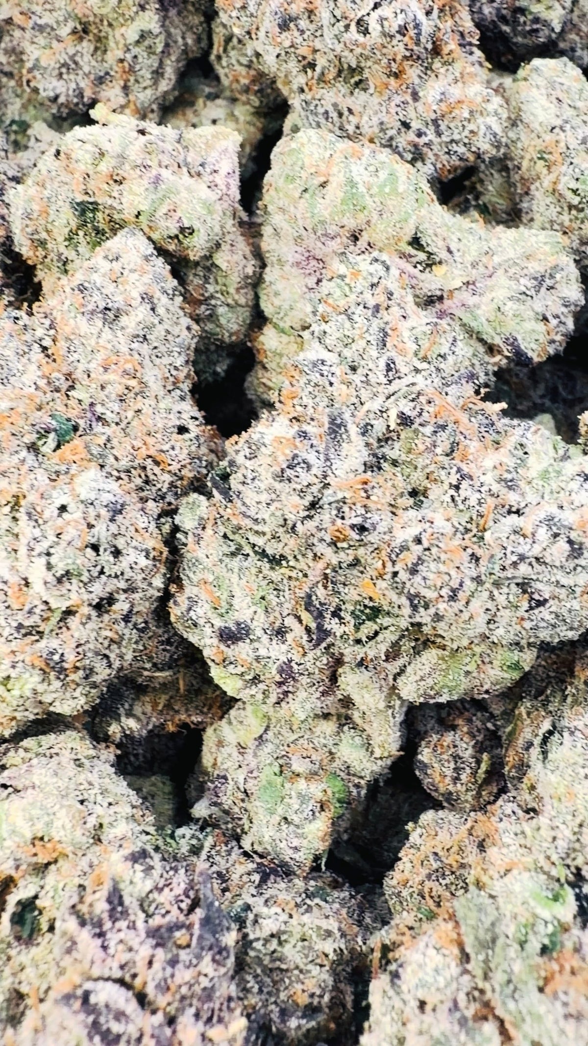 Boutique Exotics Lemon Dior - Bulk - Hybrid image 0