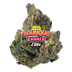 Elite Boutique Exotics - A5 Wagyu - 14 Grams - Hybrid image 0