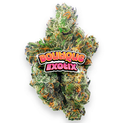 Boutique Exotics - Obama Runtz - 14 Grams - Hybrid image 0