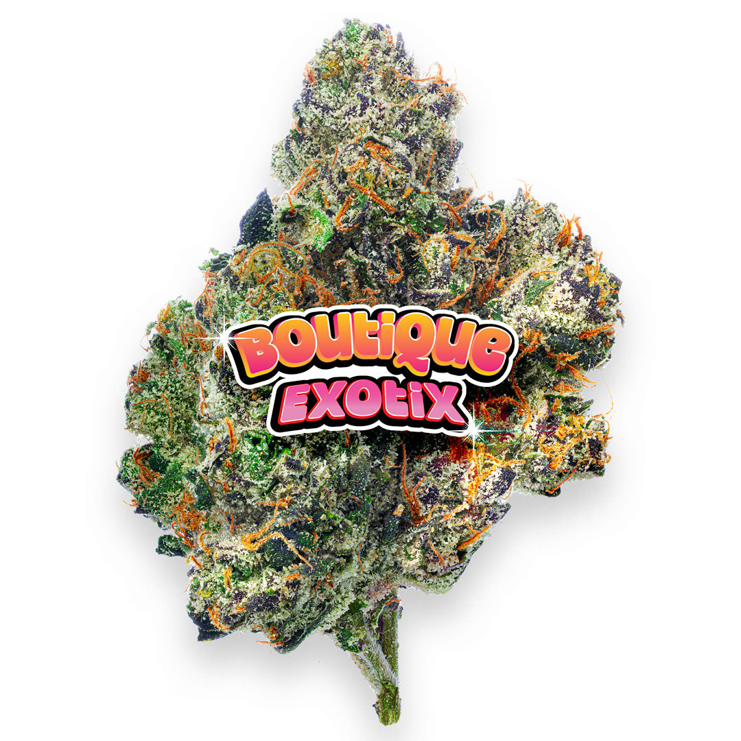 Boutique Exotics Obama Runtz - 28 Grams - Hybrid image 4