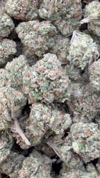 Citrus Kush - Bulk - Indica image 0