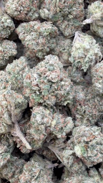 Citrus Kush - Bulk - Indica image 0