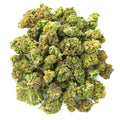 ZAZA - Jungle Gelato - 28 Grams - Indica image 0