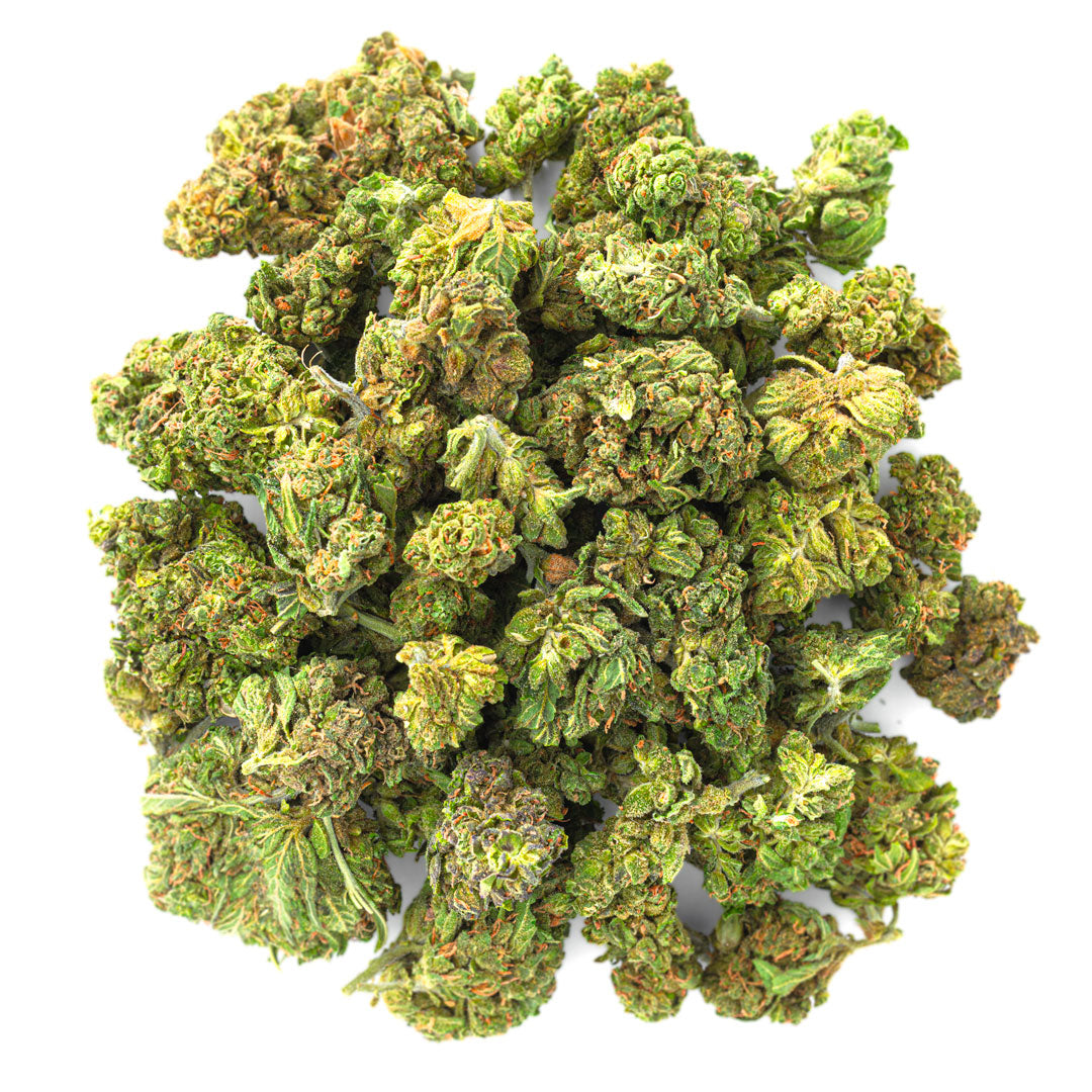 ZAZA - Jungle Gelato - 28 Grams - Indica image 0