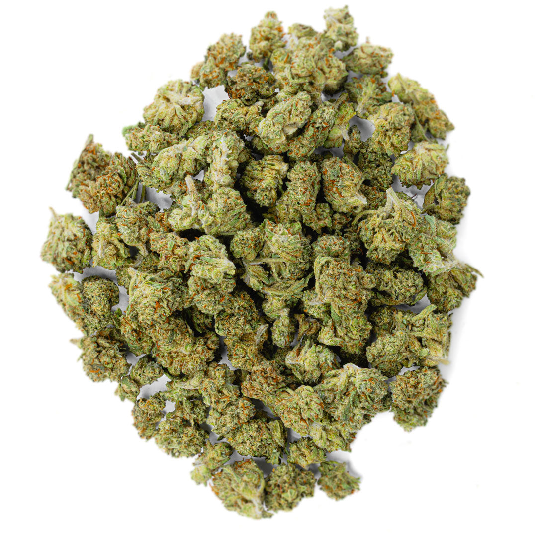 ZAZA - Jack Herrer - 14 Grams Littles - Sativa image 0