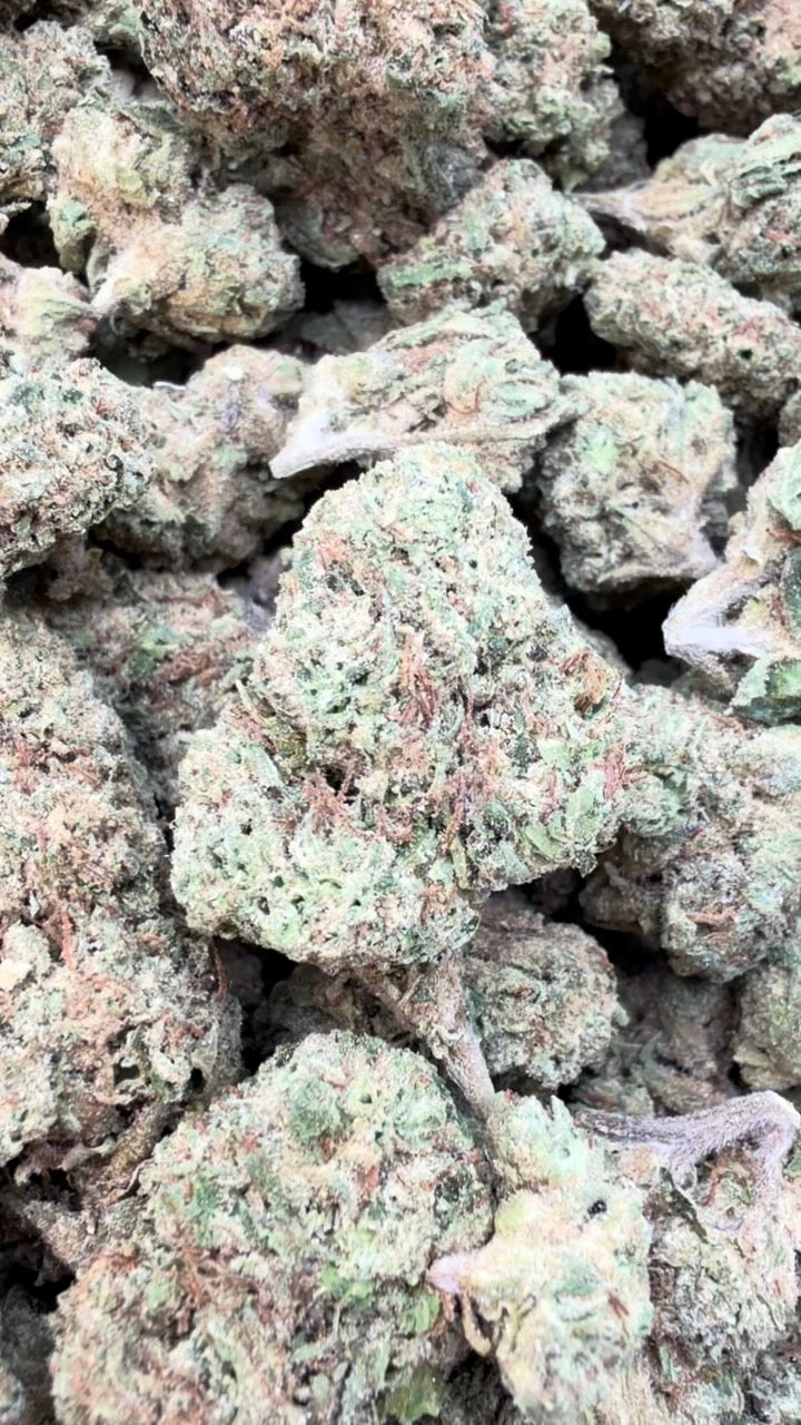 Gelato Kush Mediums - Bulk Mediums - Indica image 0