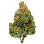 ZAZA - Chocolate Diesel - 4 Grams - Hybrid image 1