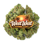 West West Brand - Chocolate Diesel - 14 Grams - Hybrid image 1