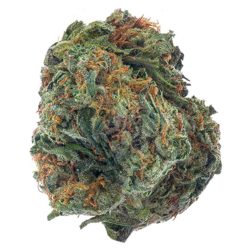 ZAZA - SFV OG  - 14 Grams - Indica image 0