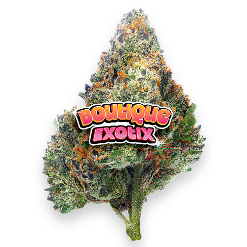 Boutique Exotics Coffin Candy - 4 Grams - Hybrid image 0
