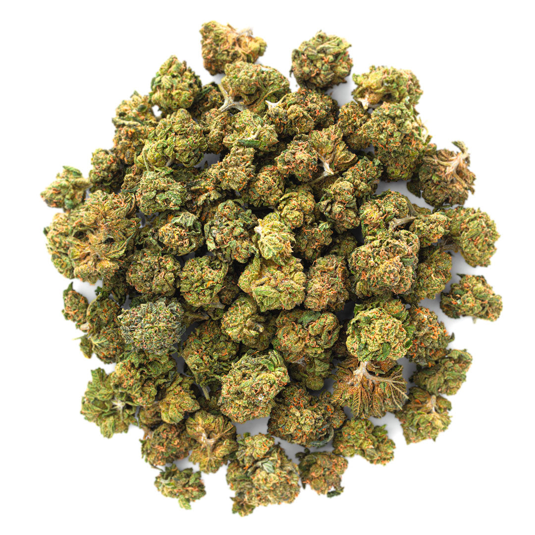 ZAZA - Gelato Kush - 28 Grams - Indica image 0