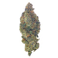 ZAZA - Gusher Mintz - 28 Grams - Hybrid image 0