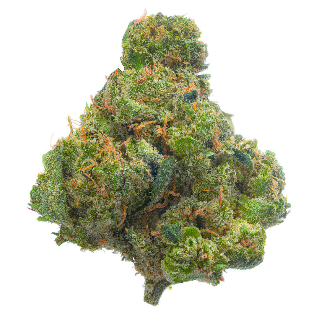 ZAZA - Jack Herer Indoor - 4 Grams - Sativa image 0
