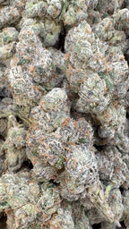 Elite Boutique Exotics Yuzu Cherries - Bulk- Hybrid image 0