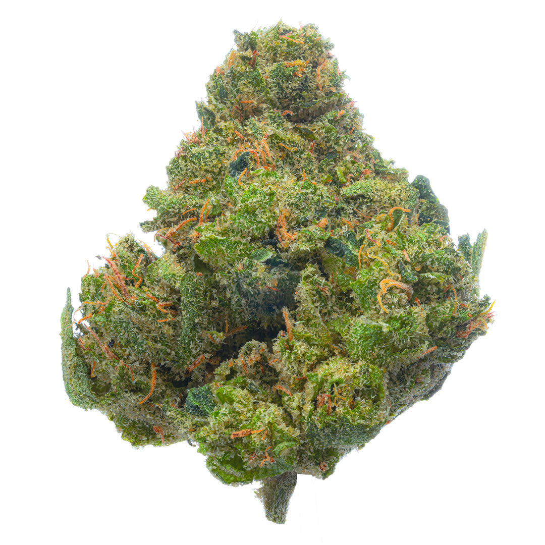 Jack Herer - Indoor - 4 Grams - Sativa image 0