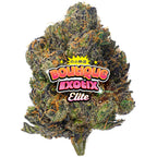 Elite Boutique Exotics - Cotton Kandy Faygo - 14 Grams - Hybrid image 0