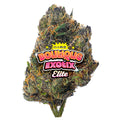 Elite Boutique Exotics - Z Candy - 4 Grams - Indica image 0