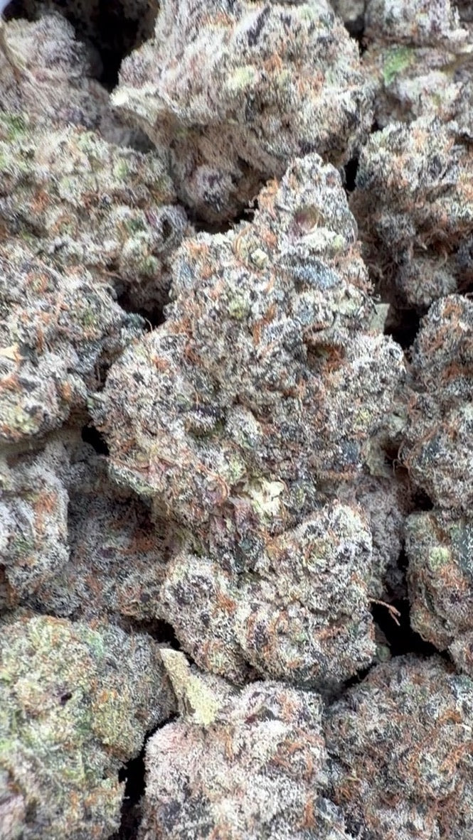 Garlic Cookies Indoor - Bulk - Hybrid image 0