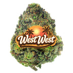 West West Brand - Horchata Gas - 14 Grams - Hybrid image 2