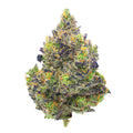 ZAZA - Zkittles x Mochi Indoor - 4 Grams - Indica image 0