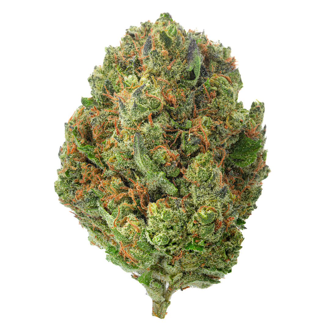 West West Brand - Chocolate Diesel - 14 Grams - Hybrid image 2