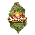 West West Brand - Gummiez - 14 Grams - Hybrid image 2