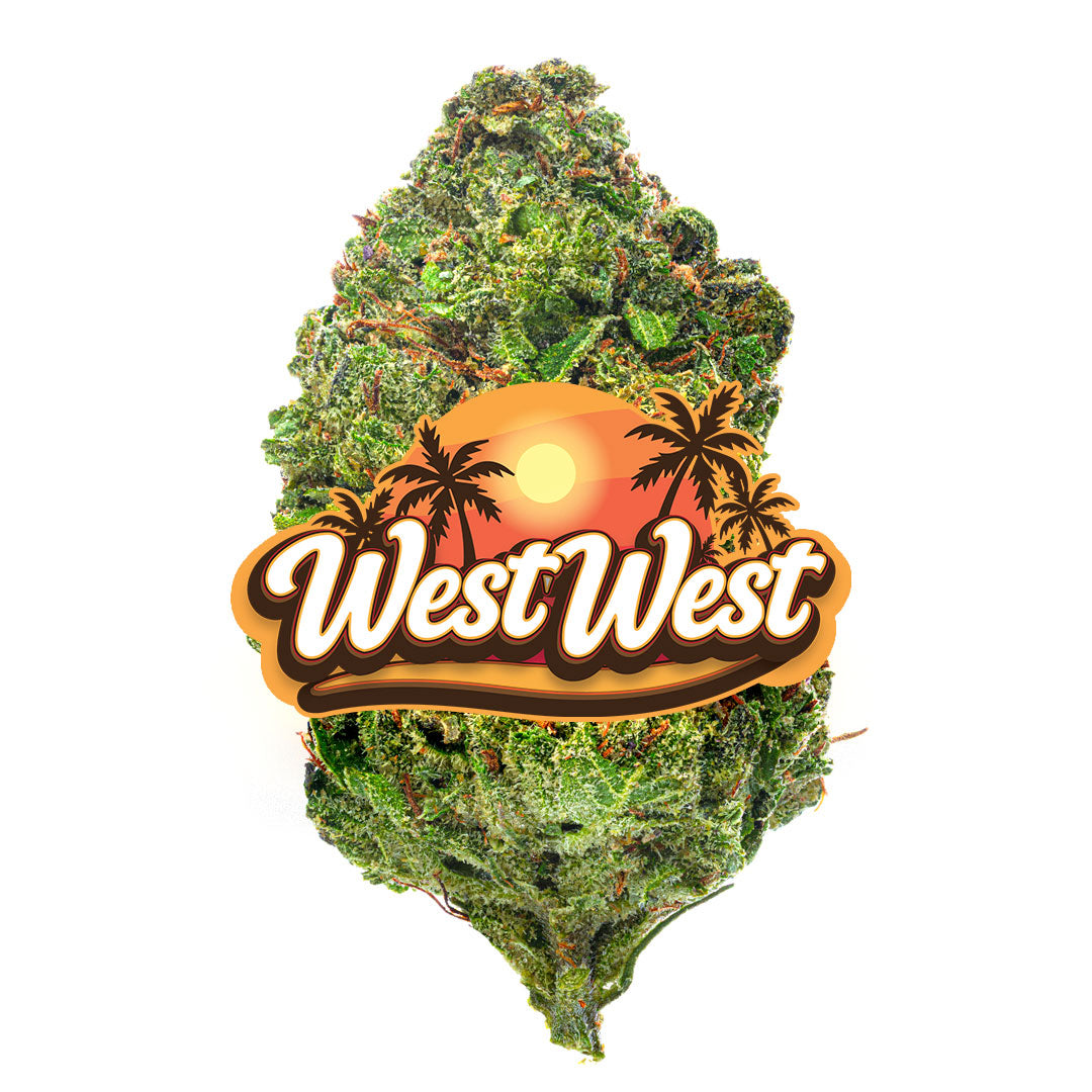 West West Brand - Gummiez - 14 Grams - Hybrid image 2