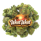 West West Brand - Cereal Milk - 14 Grams - Hybrid image 0