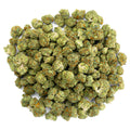 Gelato 41 - 28 Grams Littles - Hybrid image 0